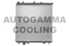 AUTOGAMMA 102993 Radiator, engine cooling